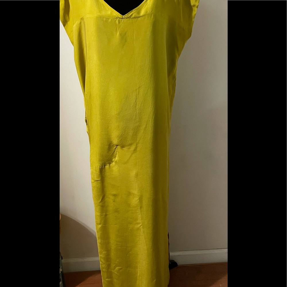 Beautiful Humanoid maxi dress
